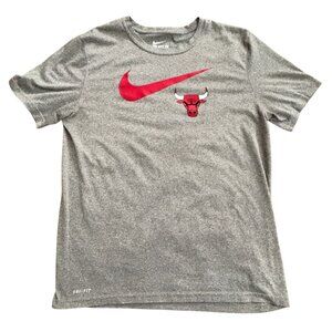 Nike The Nike Tee NBA Chicago Bulls Dri-Fit T-Shirt-Gray-XL (youth)-GUC